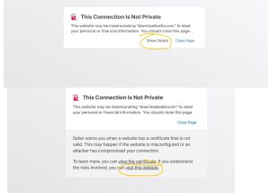 Expired SSL Certificate for Downloadwella