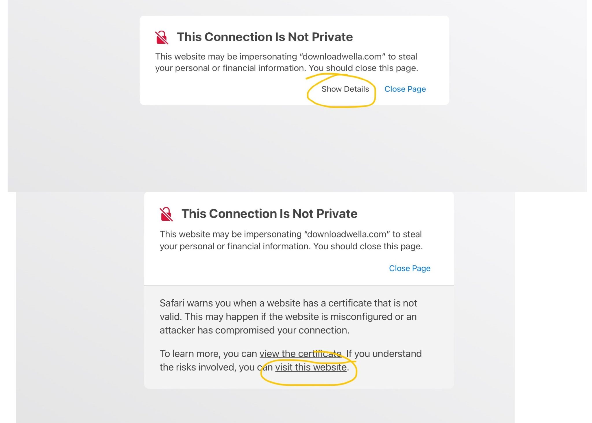 Expired SSL Certificate for Downloadwella