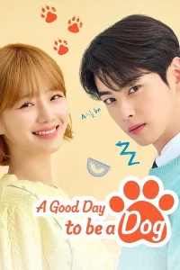 A Good Day to be a Dog S01 (Complete) | Korean Series