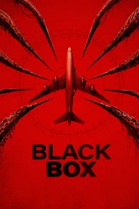 Black Box (Flight 298) (2026)